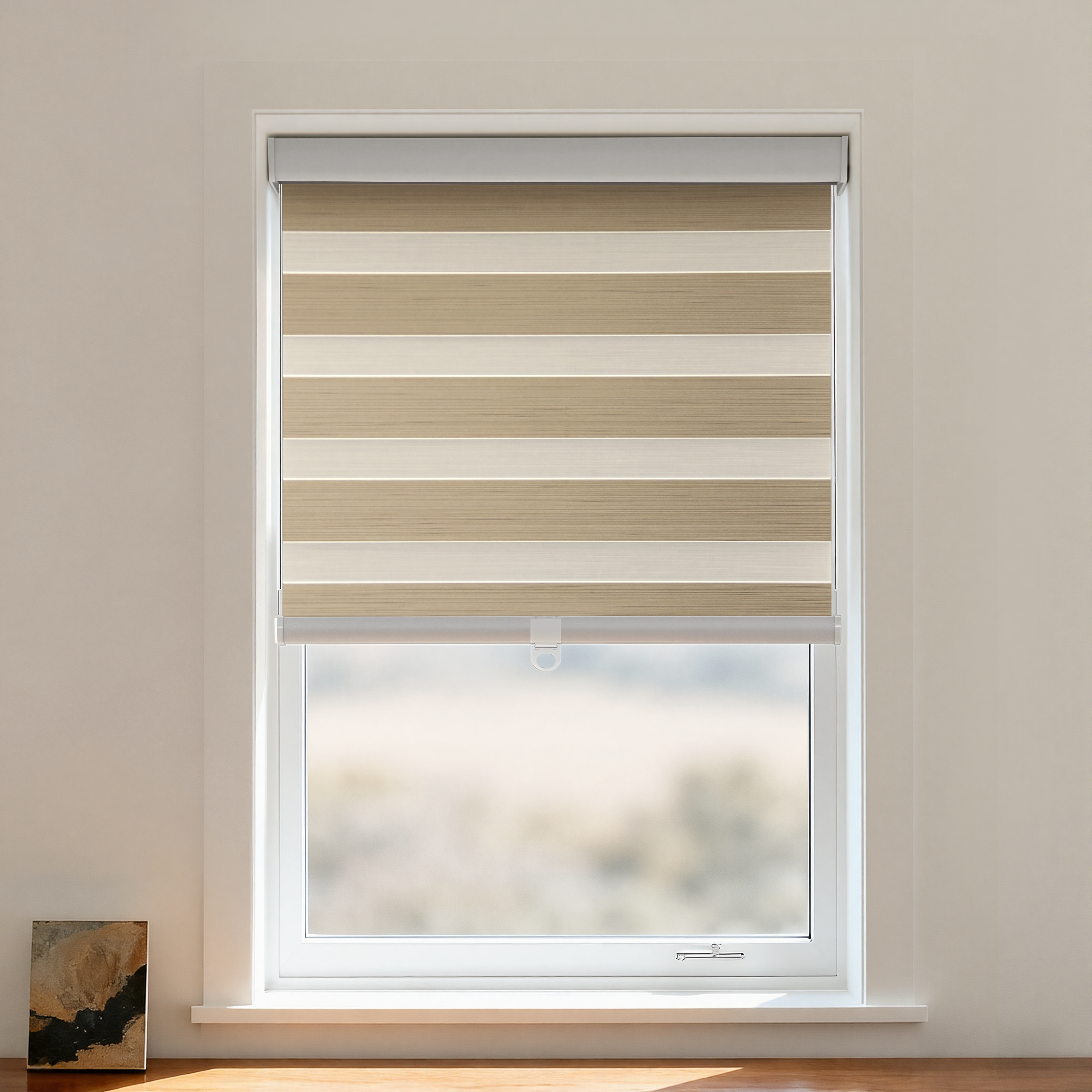 Paola Blackout Zebra Shade Cordless