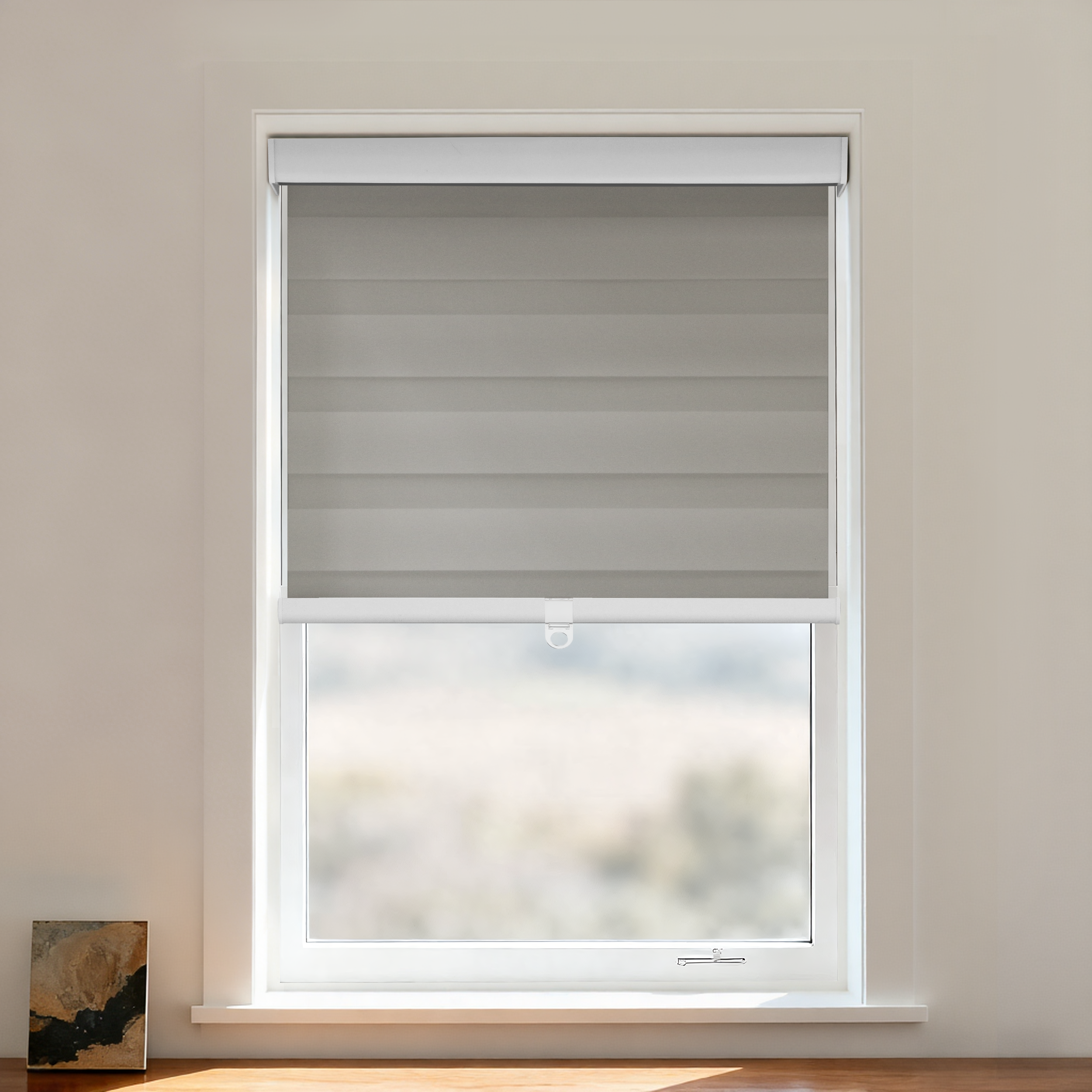 Rbss Blackout Zebra Shade Cordless