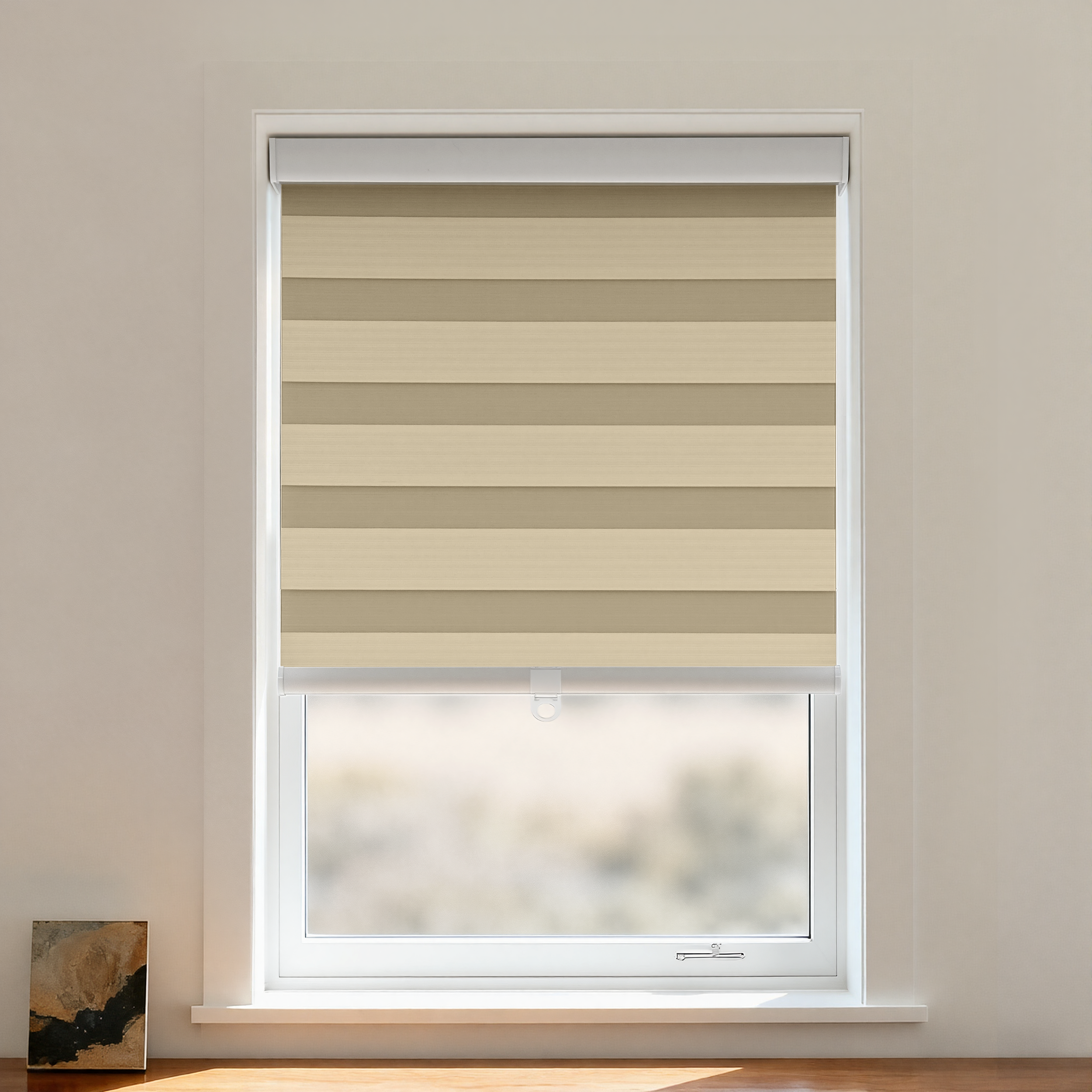 Nice Blackout Zebra Shade Cordless